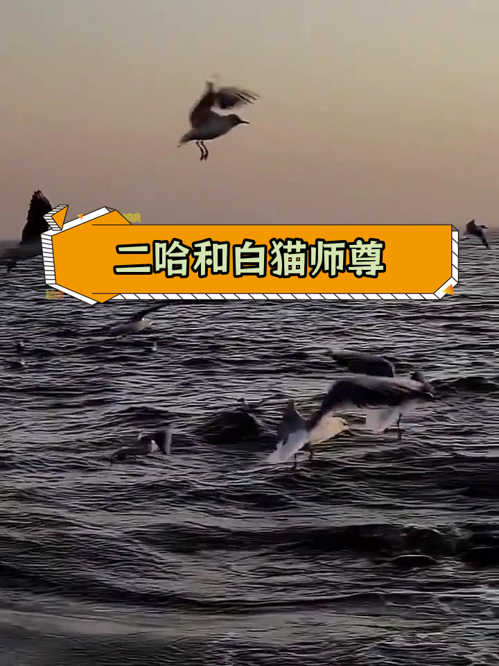 墨燃与楚晚宁的师徒情深