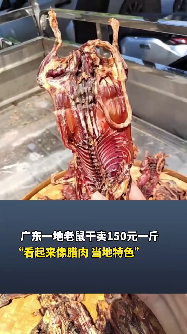 广东一地老鼠干卖150元一斤,网友:“看起来像腊肉 当地特色”