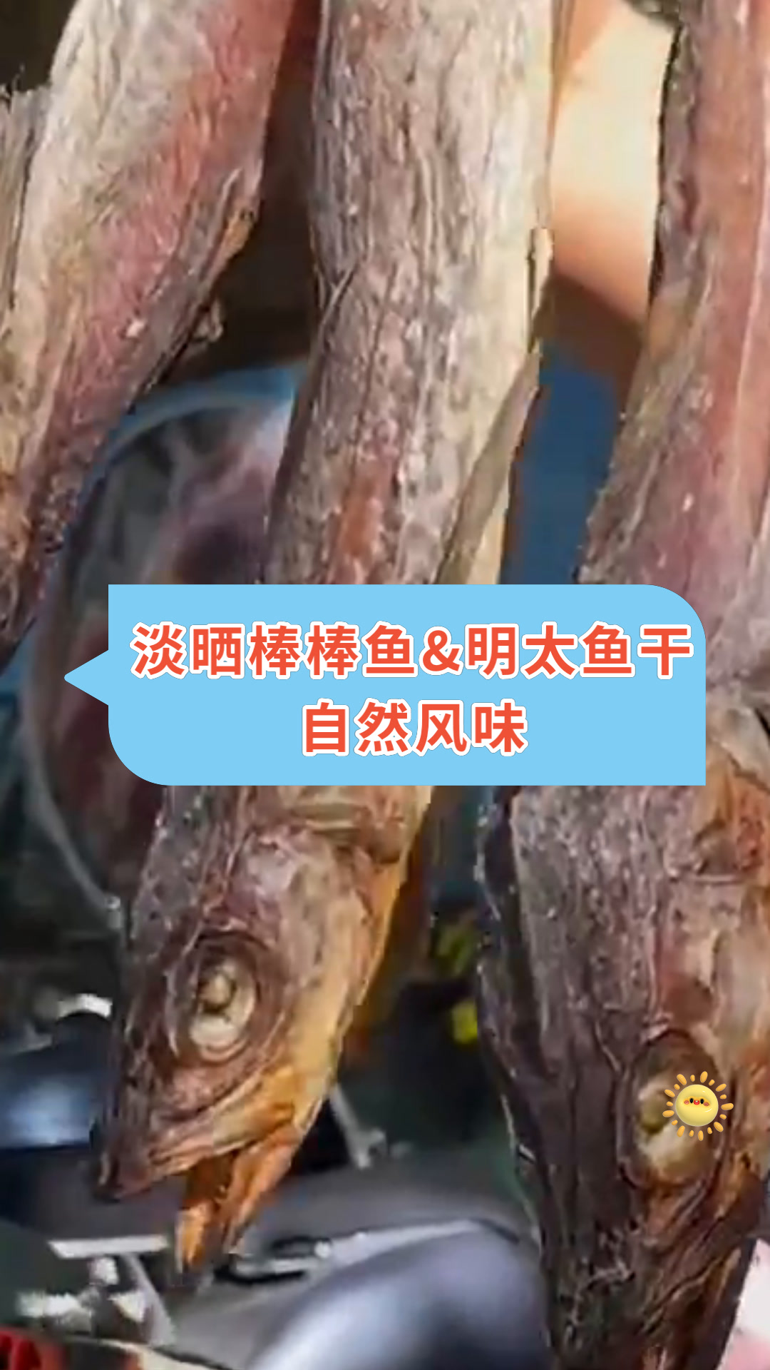 淡晒棒棒鱼&明太鱼干自然风味