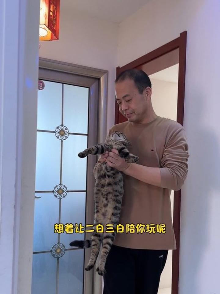 活泼欢欢吃整块鸡小胸蒸煮鸡胸肉，可放心喂毛孩子