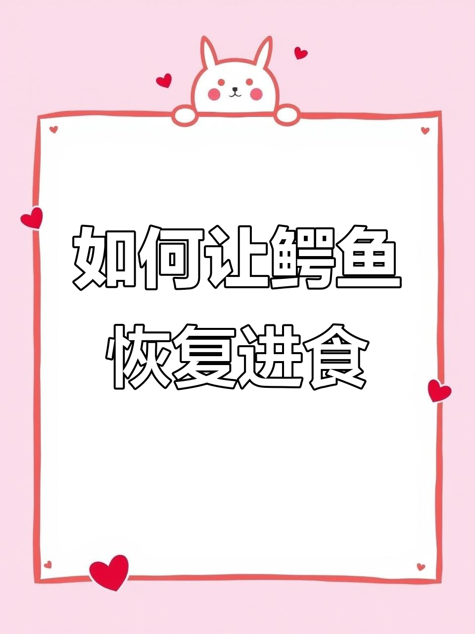 鳄鱼冬季不吃食?教你用甜食唤醒食欲