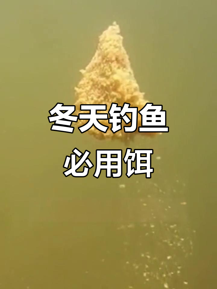 冬季钓鲫必备饵料,丸九天下无双让你轻松诱鱼