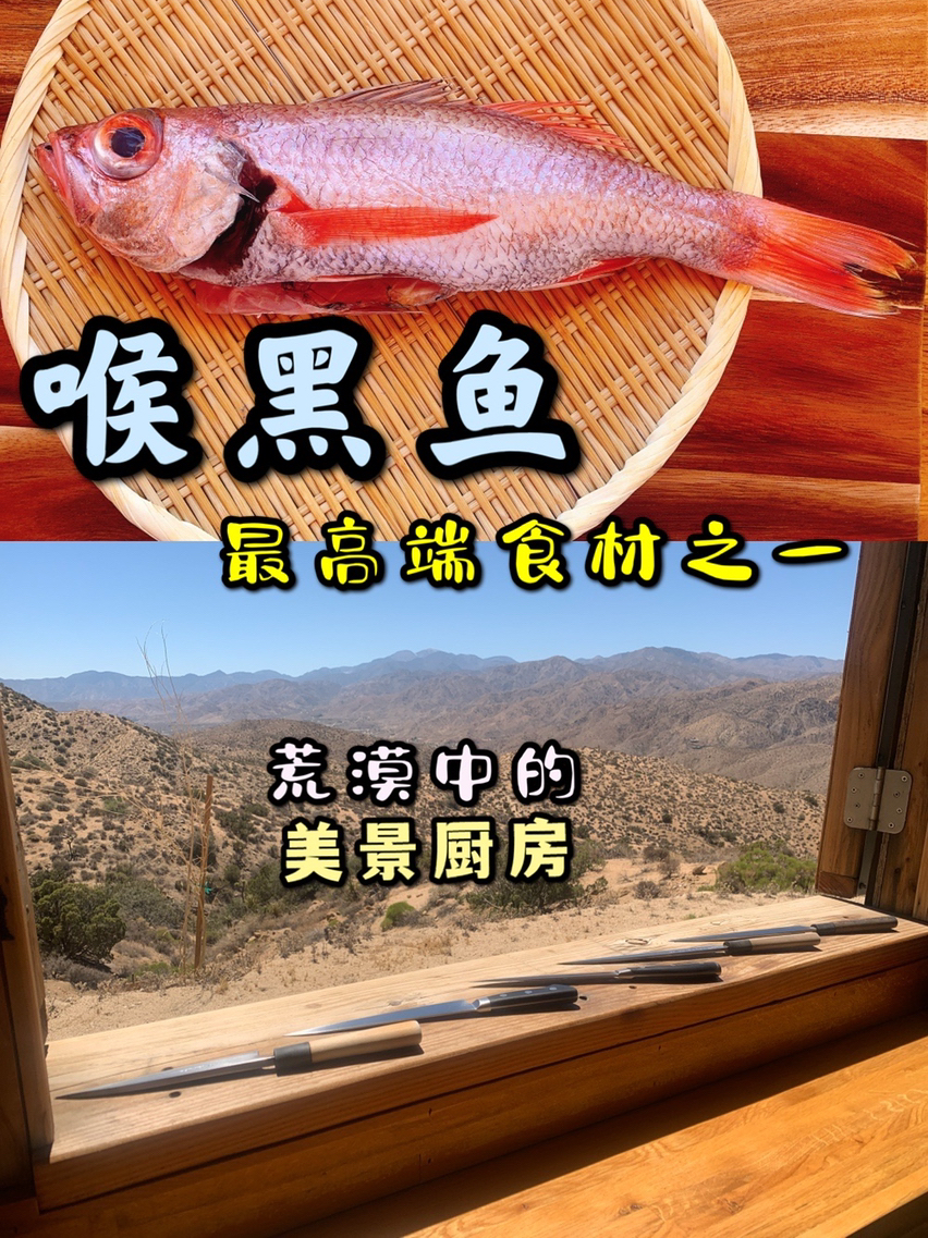 喉黑鱼的处理,最高端食材之一!美景配美食!