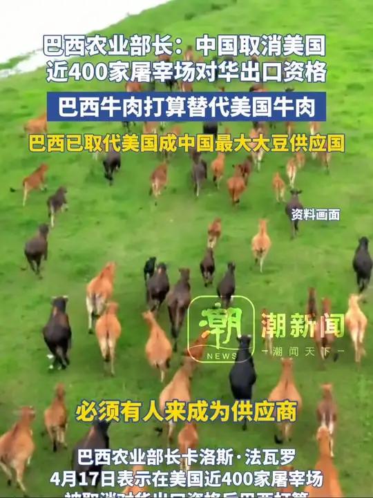 巴西农业部长:中国取消美国近400家屠宰场对华出口资格,巴西牛肉打算替代美国牛肉。此前巴西
