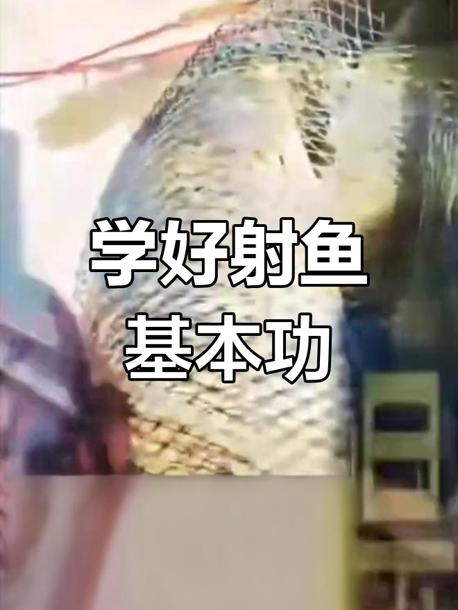 射鱼技巧大揭秘,如何精准捕捉猎物