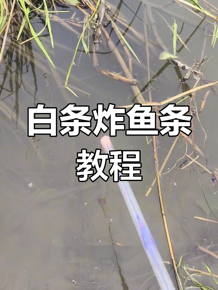 末日生存必备:如何用白条做炸鱼条,恢复饱湿度