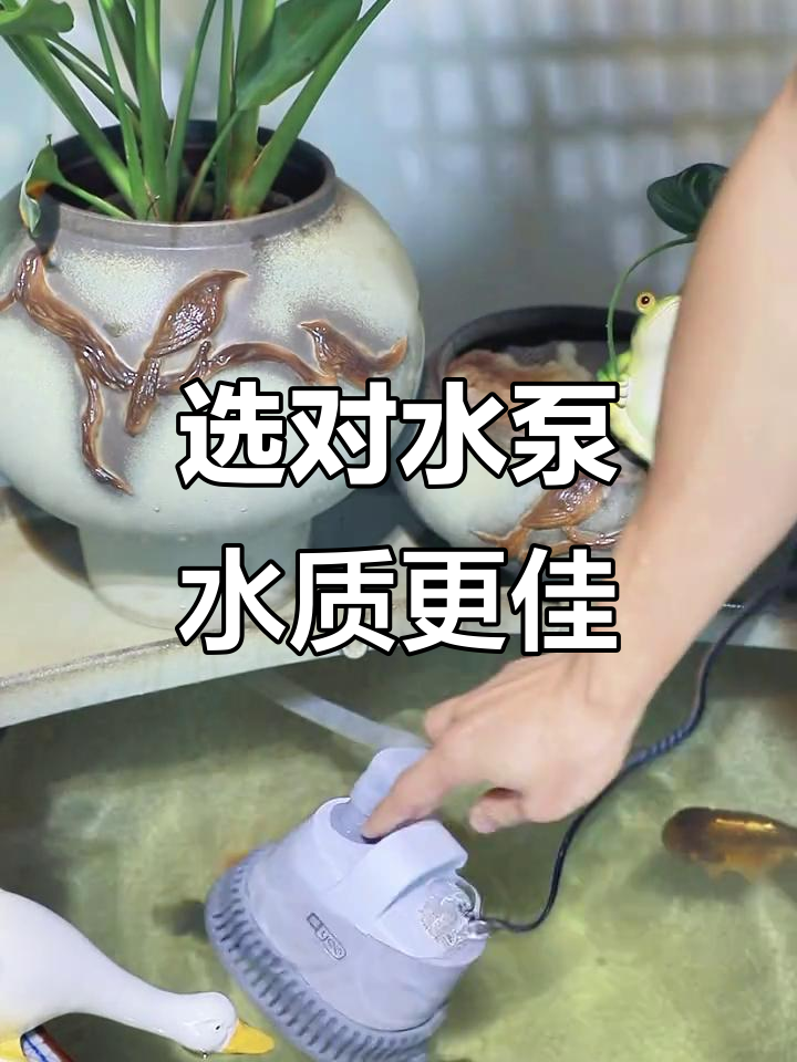 水泵选择全攻略：如何挑选适合的鱼缸水泵？