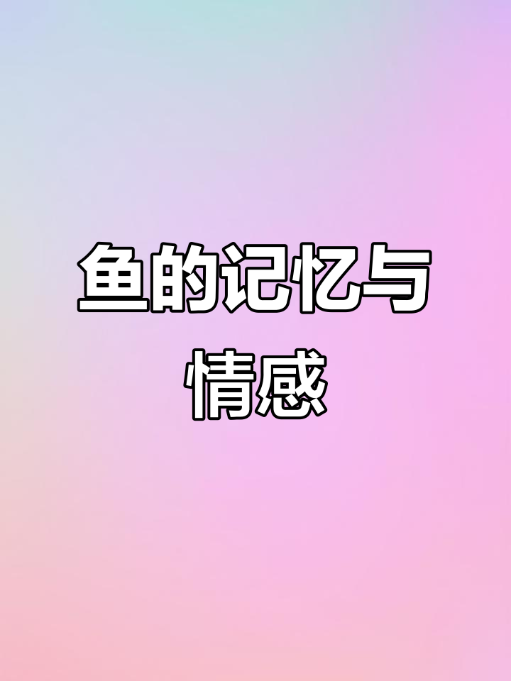 鱼不只七秒记忆,它选择遗忘那些忧伤的瞬间
