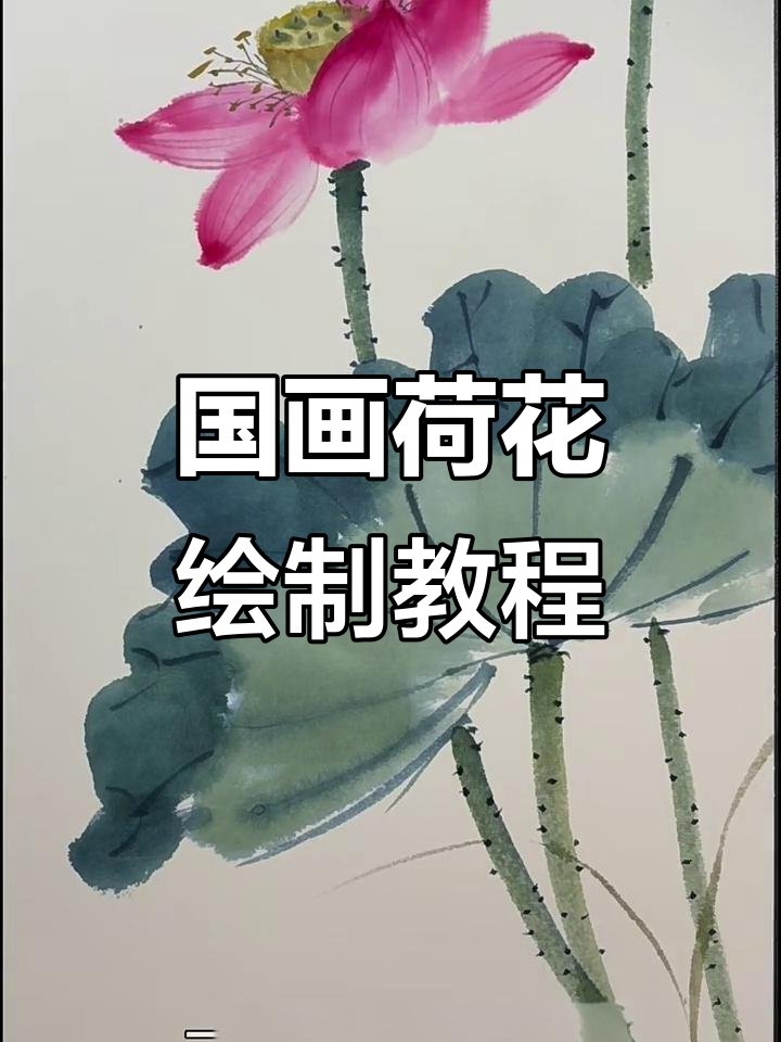 荷花国画技巧:从荷叶到莲蓬,细节全解析