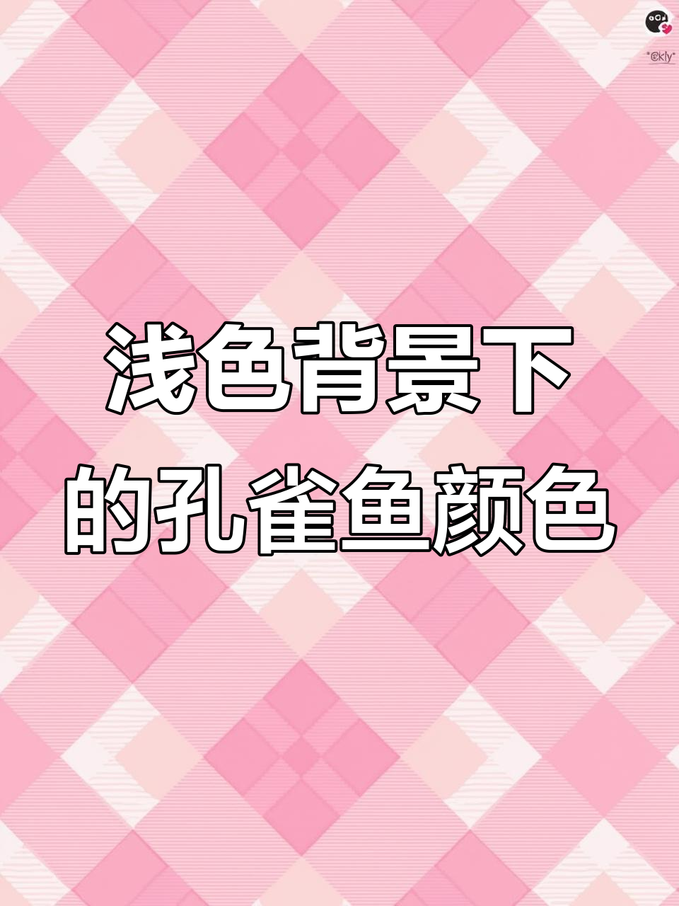 泡沫箱养殖孔雀鱼,挑选跑红体与火烧云品种