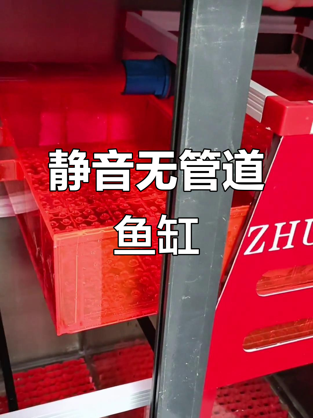 无管道鱼缸大揭秘,高端养鱼的必备神器