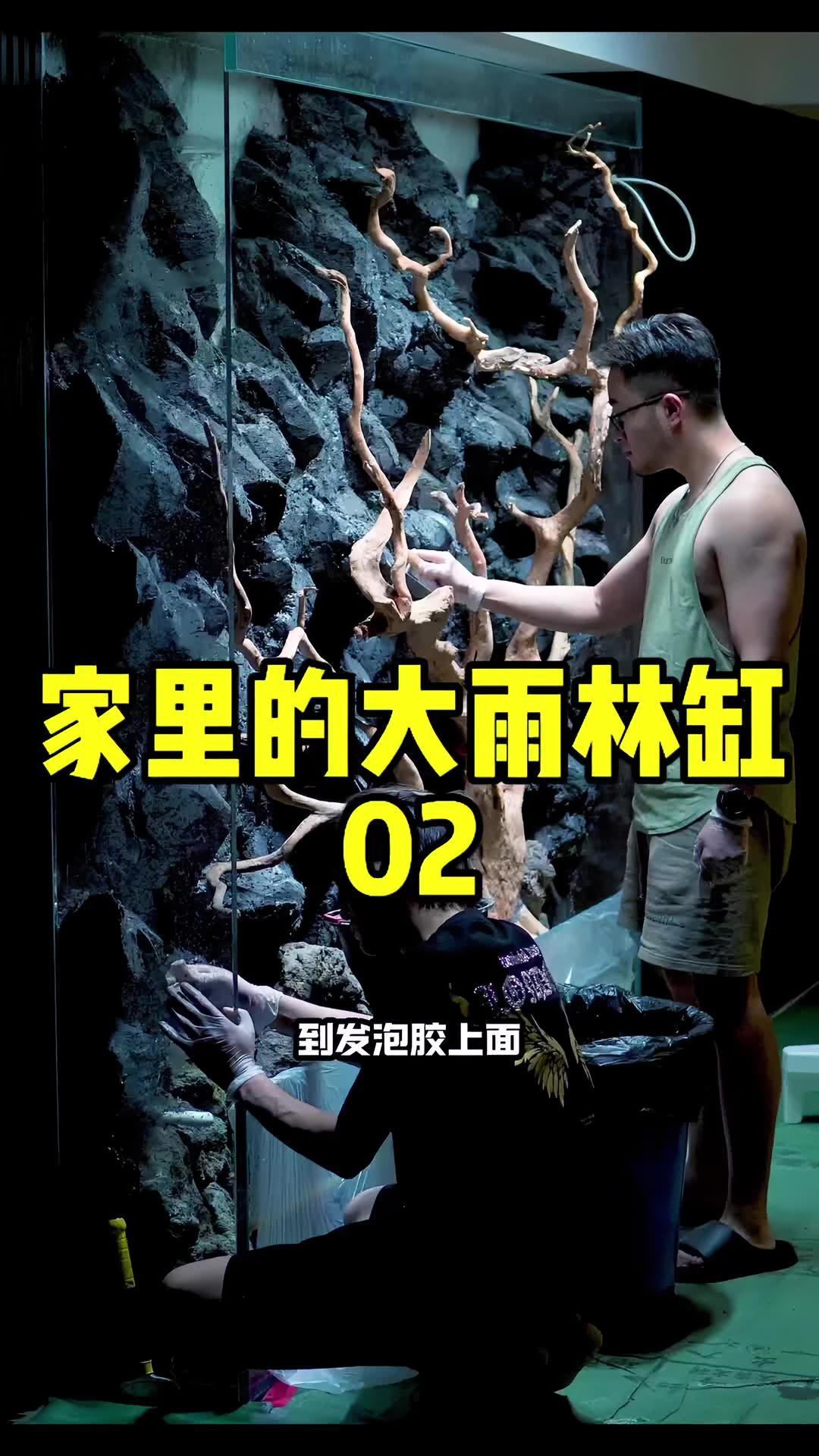家里一面墙的大鱼缸,今天继续搞!原来这么多人想打我的脸,看我笑话,我好男啊 水族 养鱼 鱼