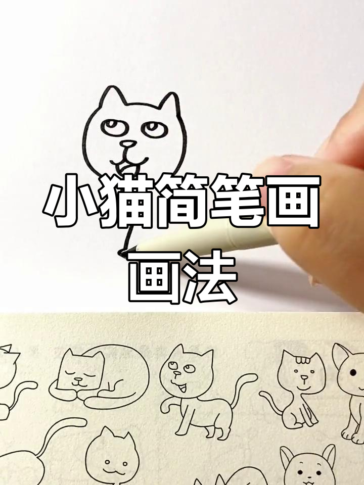 简笔画进步大比拼,哪只小猫更可爱?