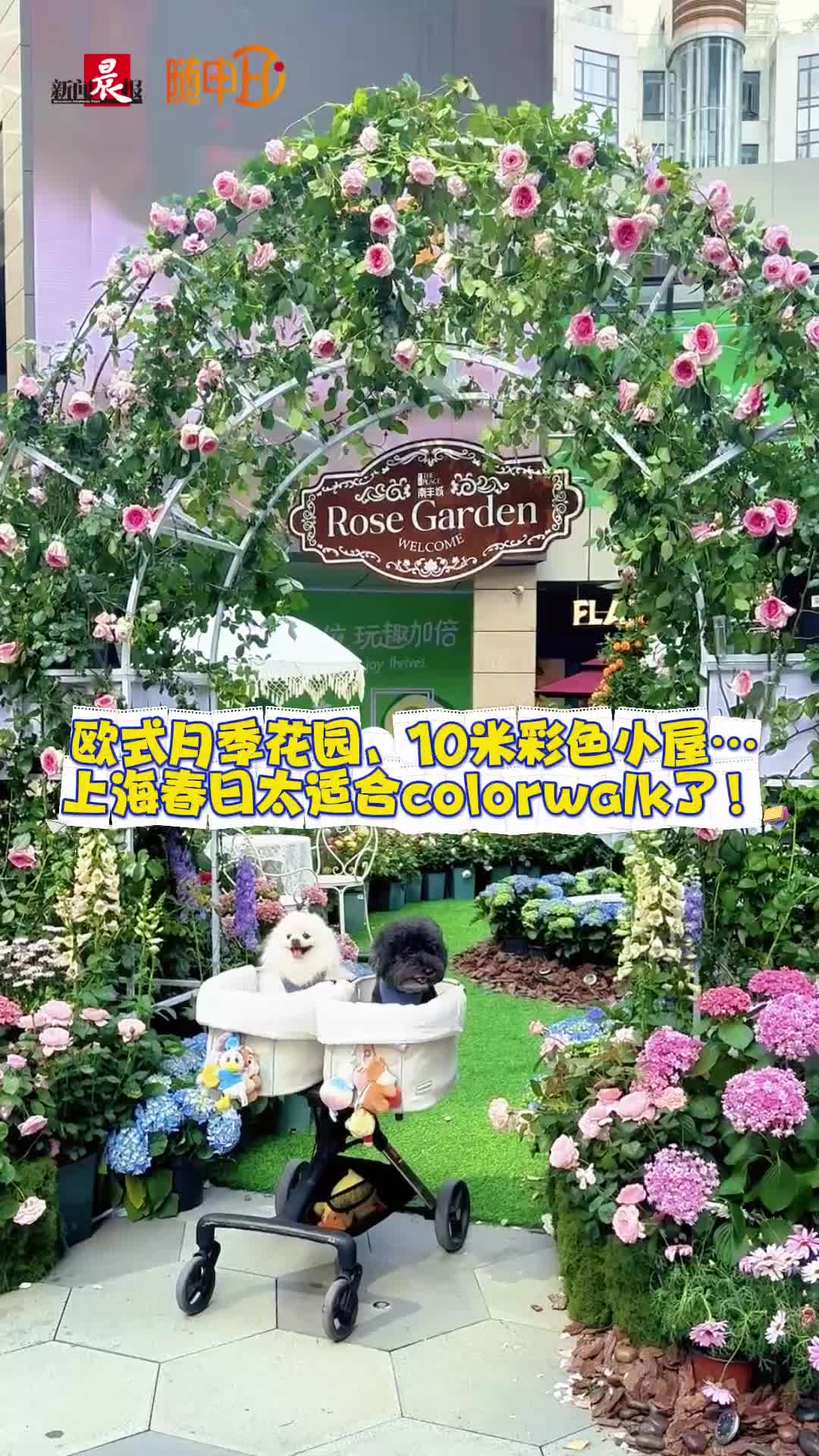 欧式月季花园、10米高彩色蛋糕小屋……上海春日太适合colorwalk了!
