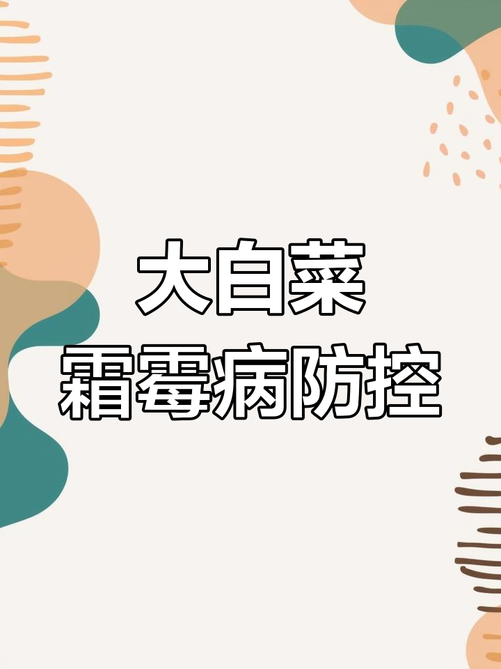 白菜霜霉病防治全攻略,莲座期最易感