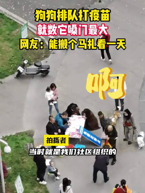「小区嗓门最大的狗狗来打针了」3月27日,四川成都。一社区组织给狗狗免费打疫苗,其中一只狗