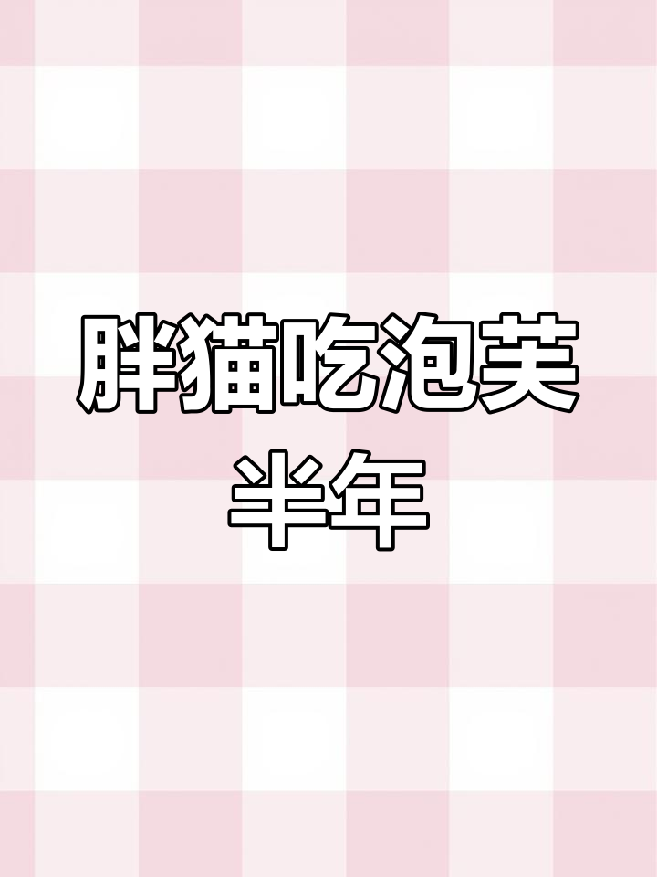 吃泡芙猫粮半年,猫咪竟然长成了这样!
