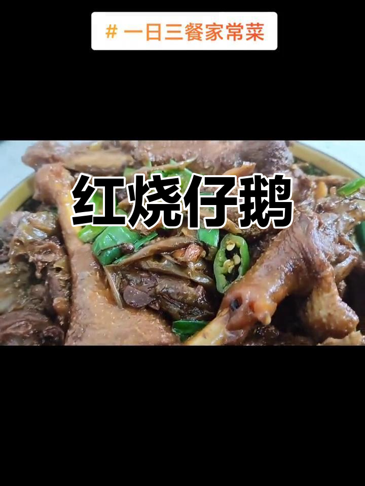 家常红烧仔鹅,味道一绝!