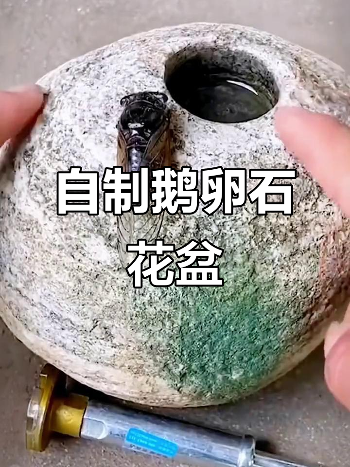 鹅卵石花盆DIY,轻松打造个性化装饰