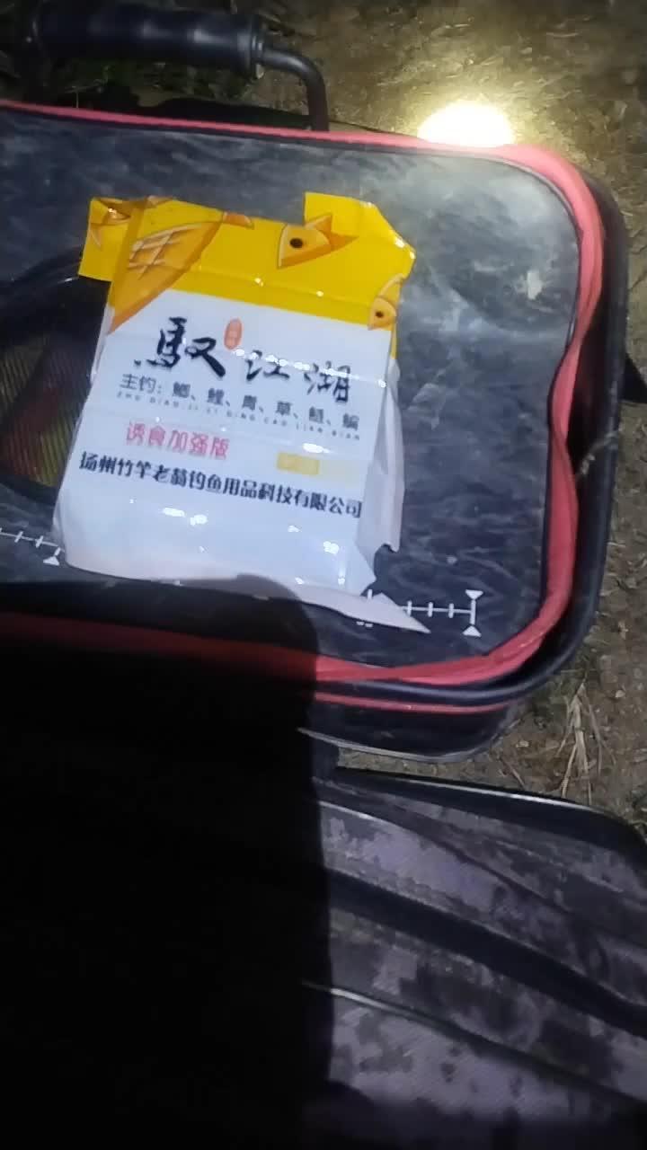 #钓鱼的乐趣只有钓鱼人懂 今晚夜钓东江,收获差强人意!#钓鱼 #钓友请就位 #用一张照片证