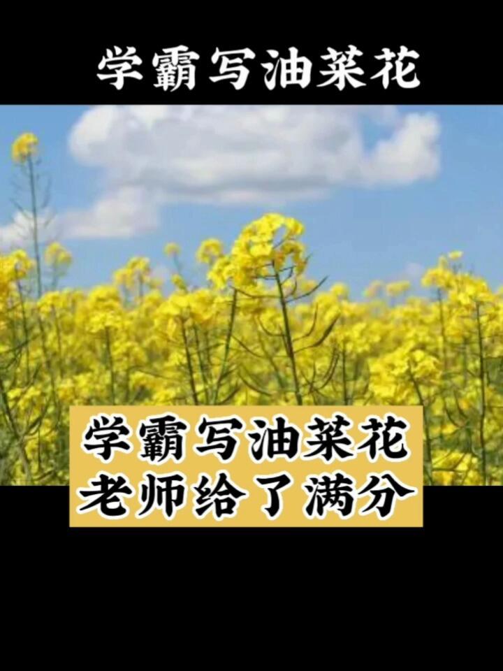学霸写油菜花～老师给了满分