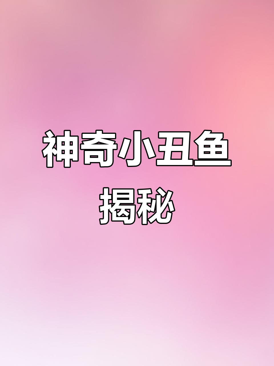小丑鱼:艳丽又可爱的海底精灵,竟然能变性!