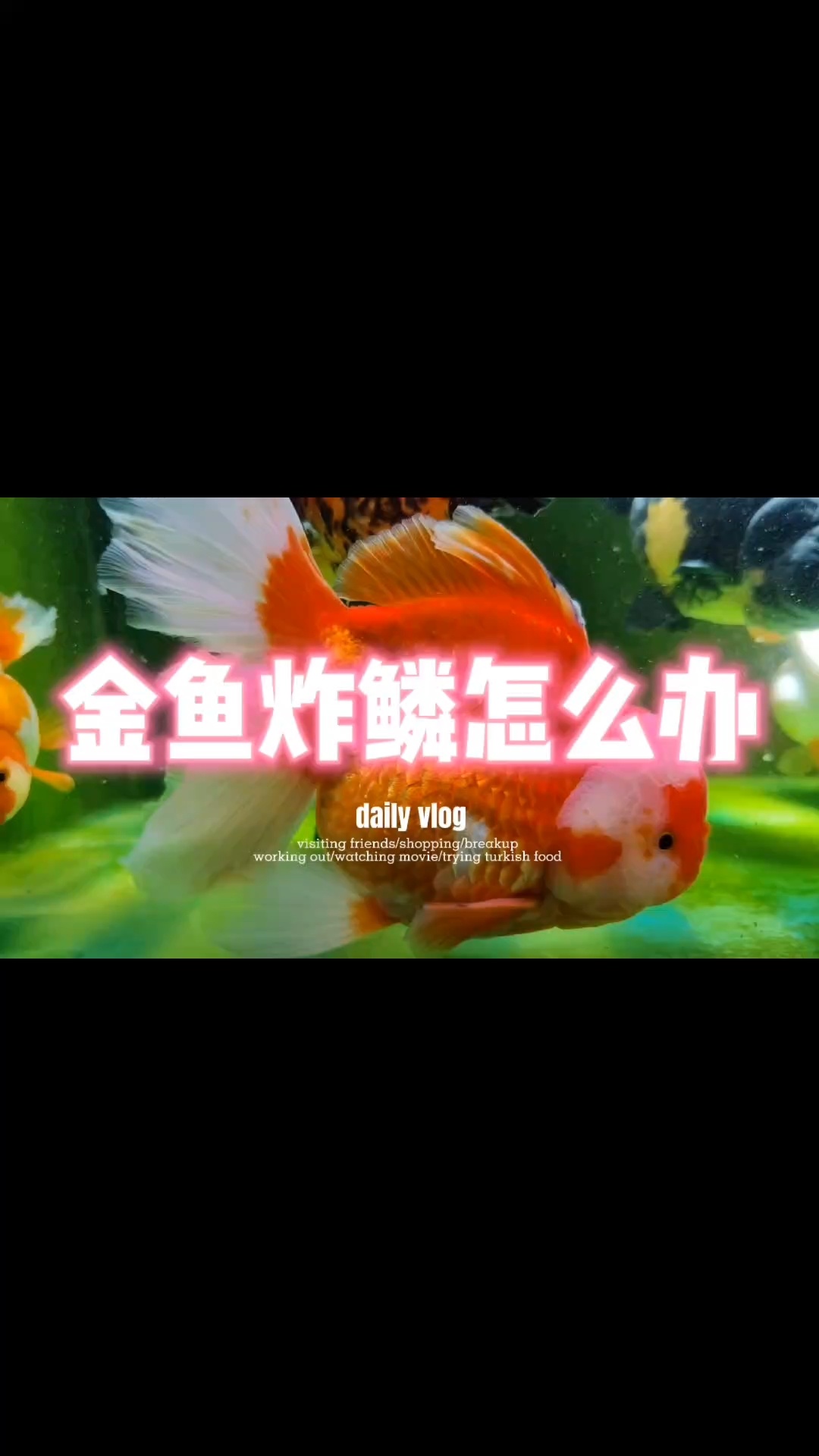 金鱼炸鳞的原因和治疗