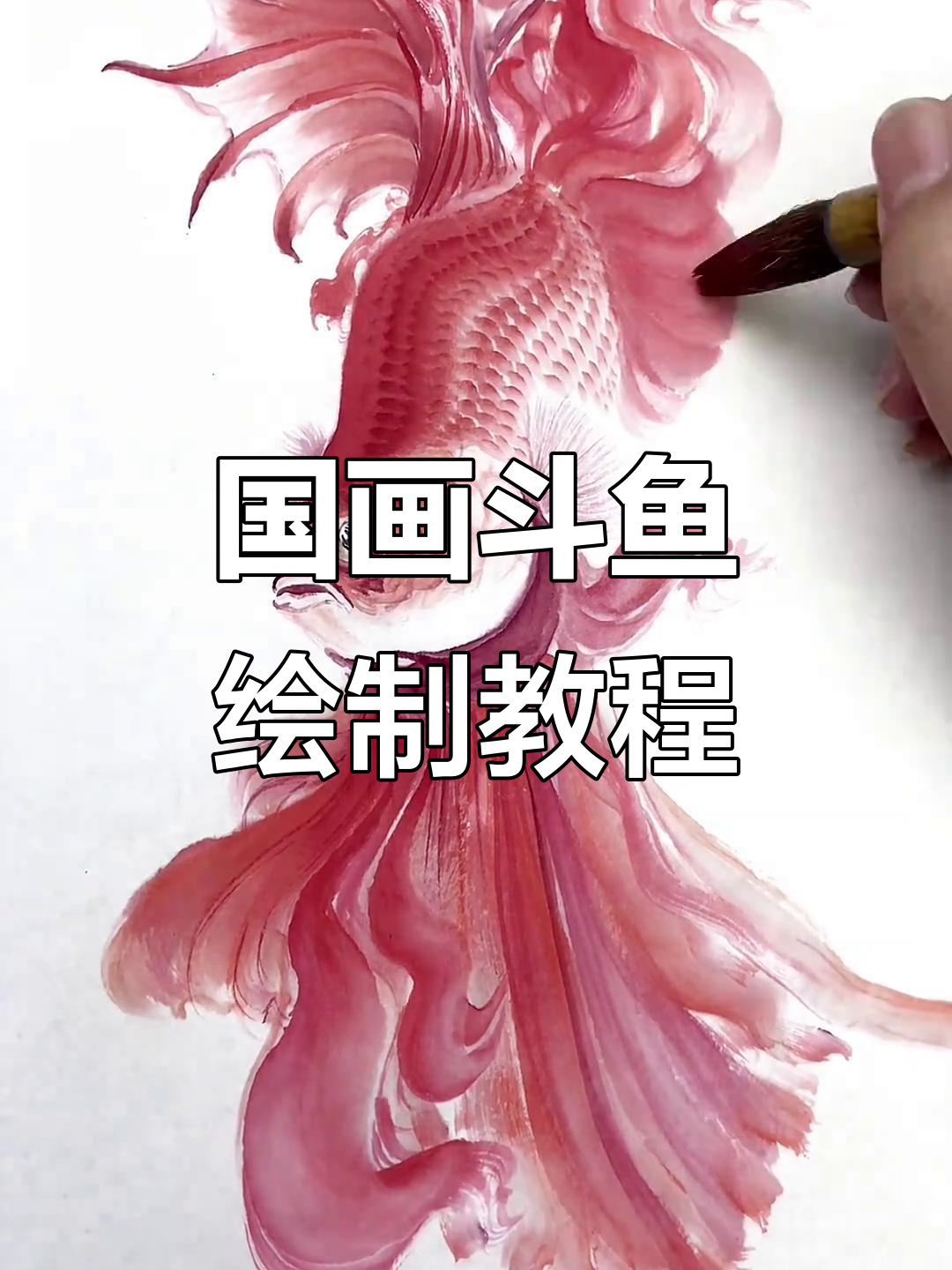 斗鱼国画技巧大揭秘,画出栩栩如生的鱼儿