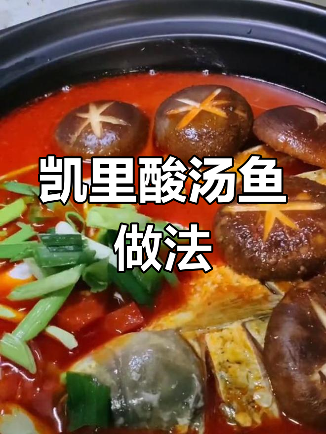 贵州凯里酸汤鱼,独特美味体验