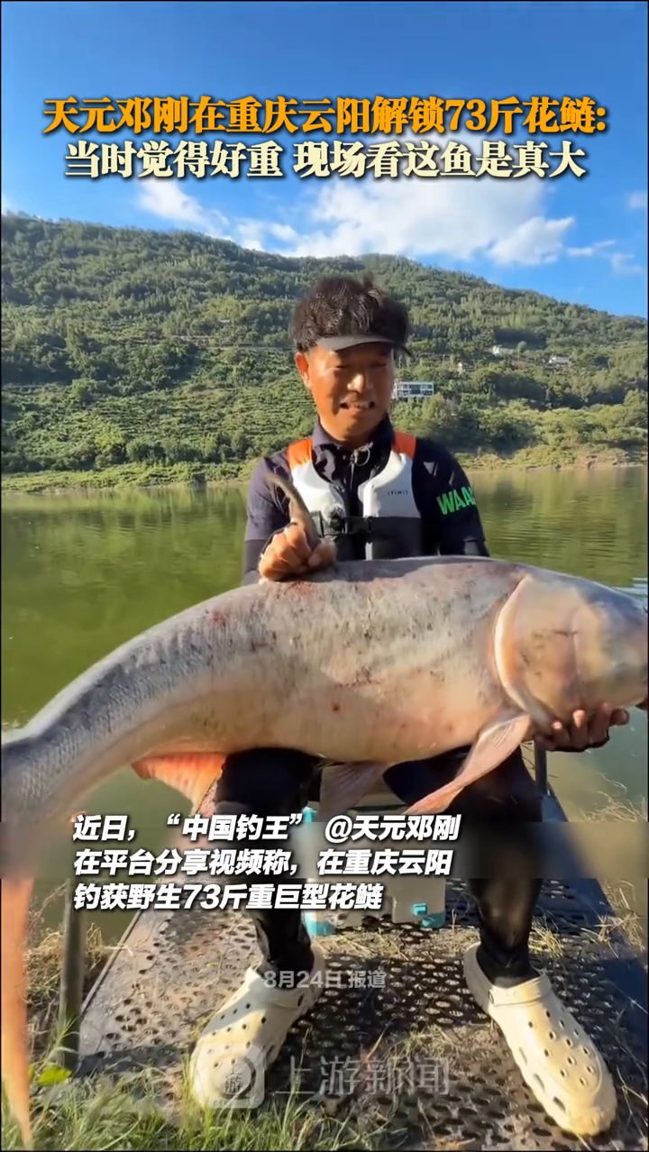 天元邓刚在重庆云阳解锁73斤鲢鳙：好重 现场看这鱼是真大