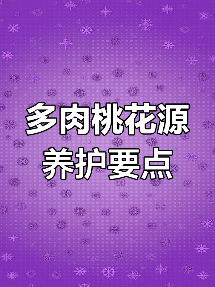 桃花源多肉养护全攻略:四季管理技巧与注意事项
