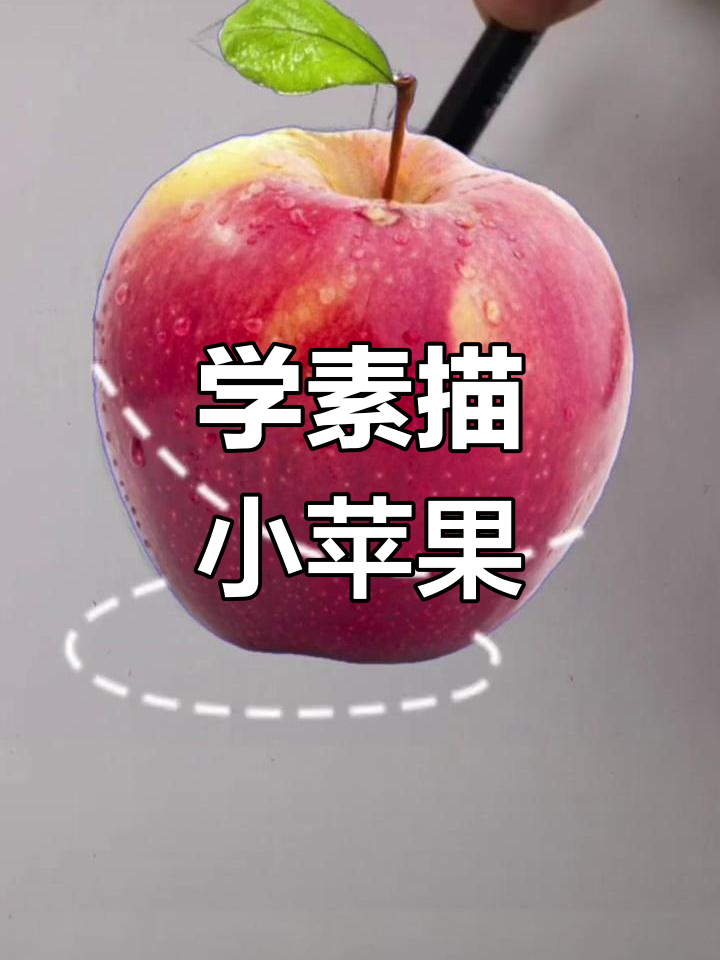 素描小苹果,轻松学会画水果