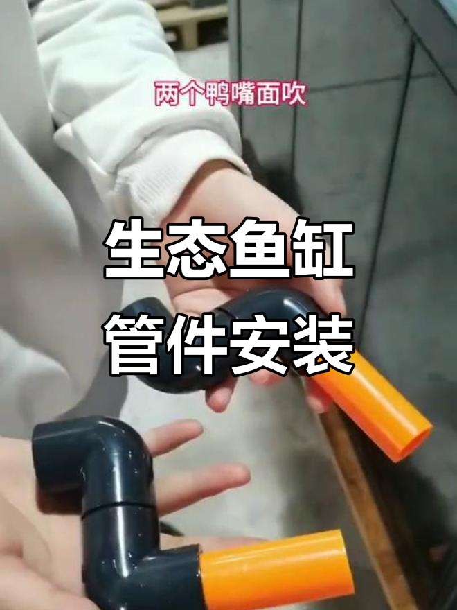 鱼缸管道安装全流程，轻松搞定侧溢流与止逆阀