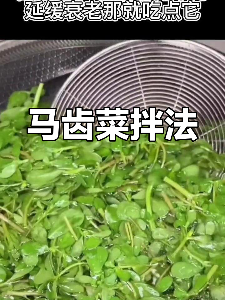 马齿菜焯水拌一拌,延缓衰老、稳血压又护心脏
