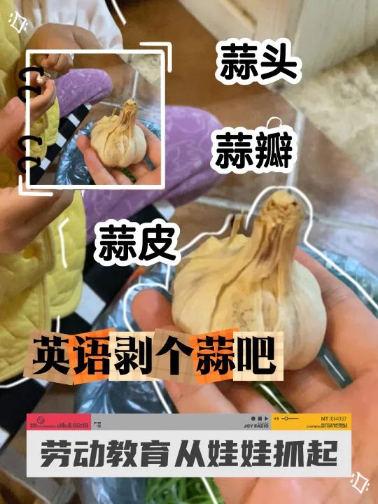 亲子英语244: 家庭劳动剥蒜～蒜皮蒜瓣蒜头