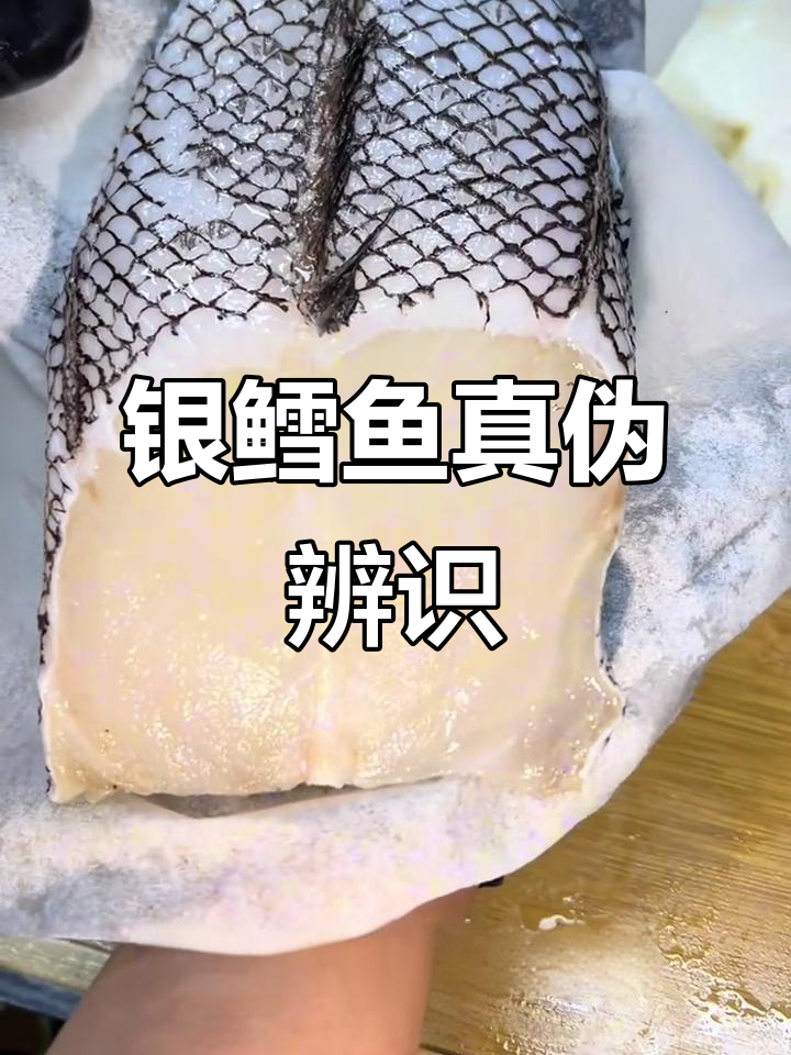 法国银鳕鱼真假辨别，教你轻松识别！