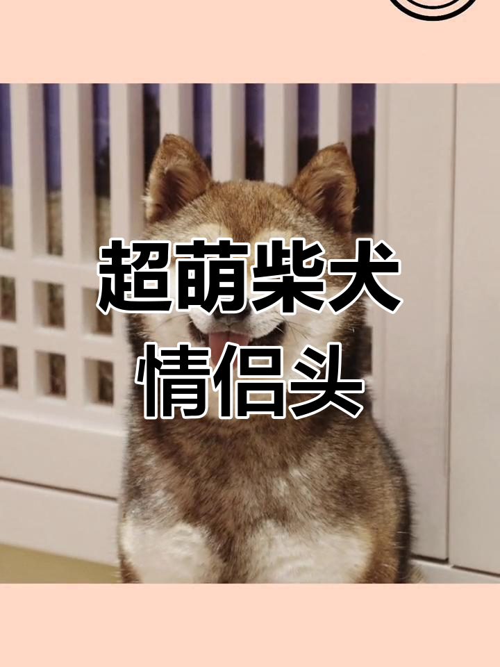 可爱情侣头像大集合