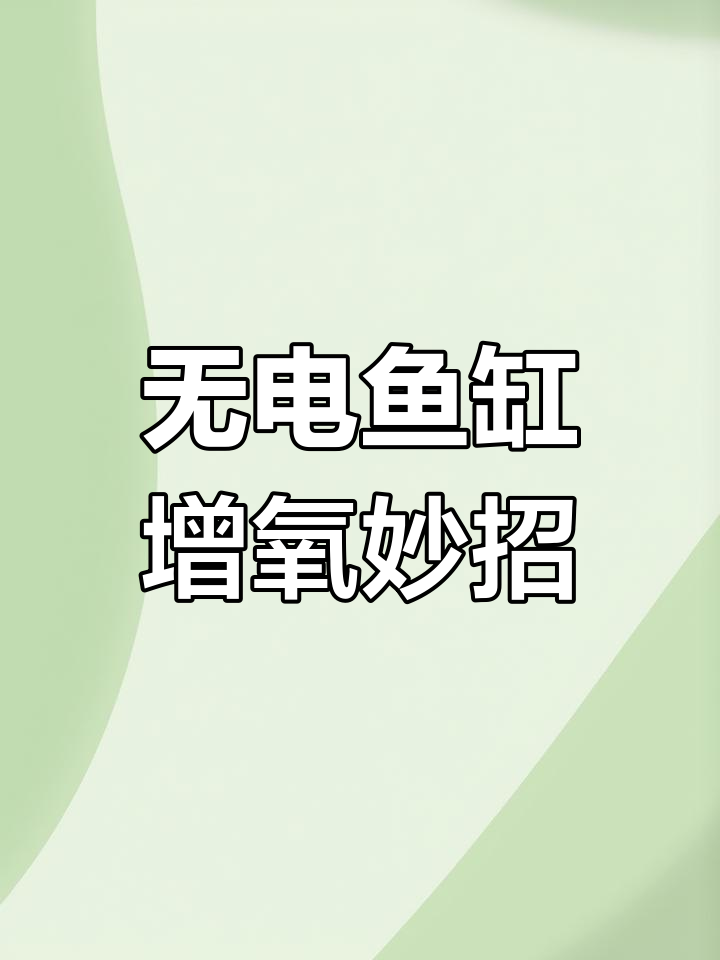 鱼缸增氧新方法,无需电力轻松搞定