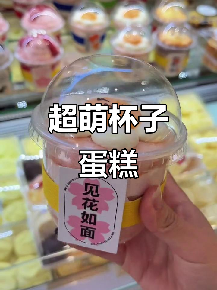 滨江道超可爱杯子蛋糕,动物奶油四宫格只需16.8元