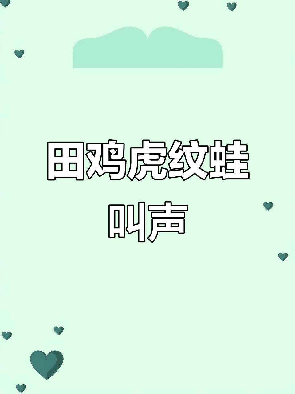 田鸡与虎纹蛙的叫声大比拼,公母交配时声音惊人