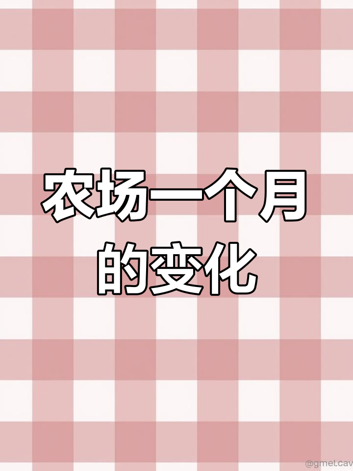 农场变化大揭秘:从小鸡到鸭子的成长之路