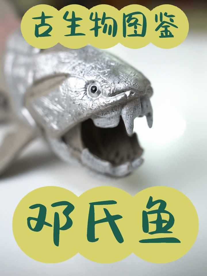 古生物图鉴——邓氏鱼