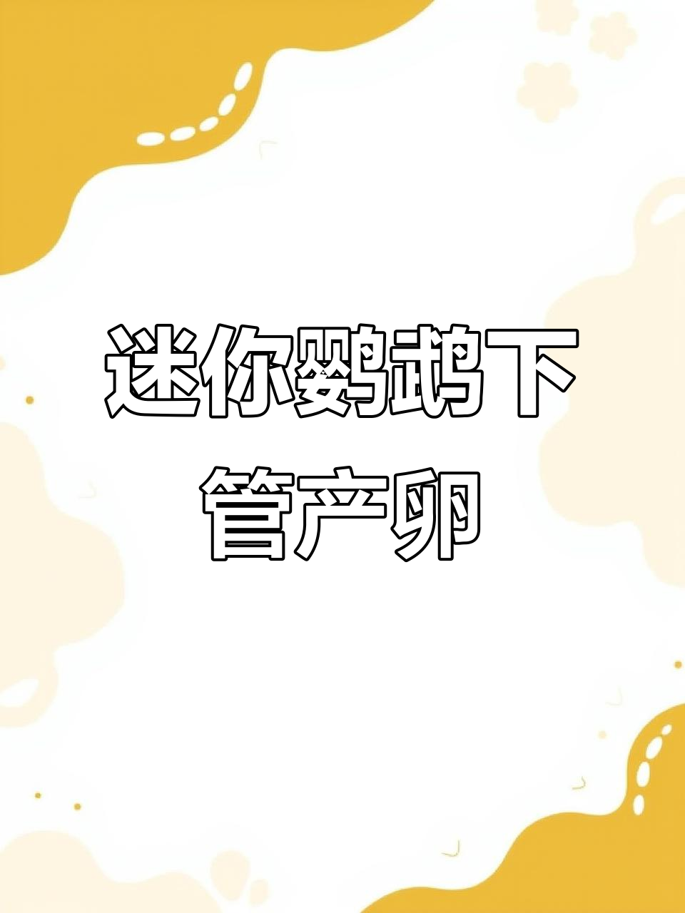 迷你鹦鹉产卵前兆,三天内即将孵化