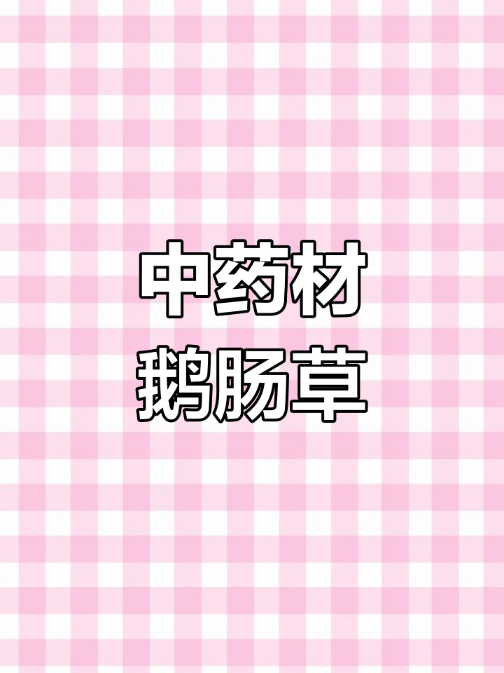 鹅肠草,清热解毒、消肿良药