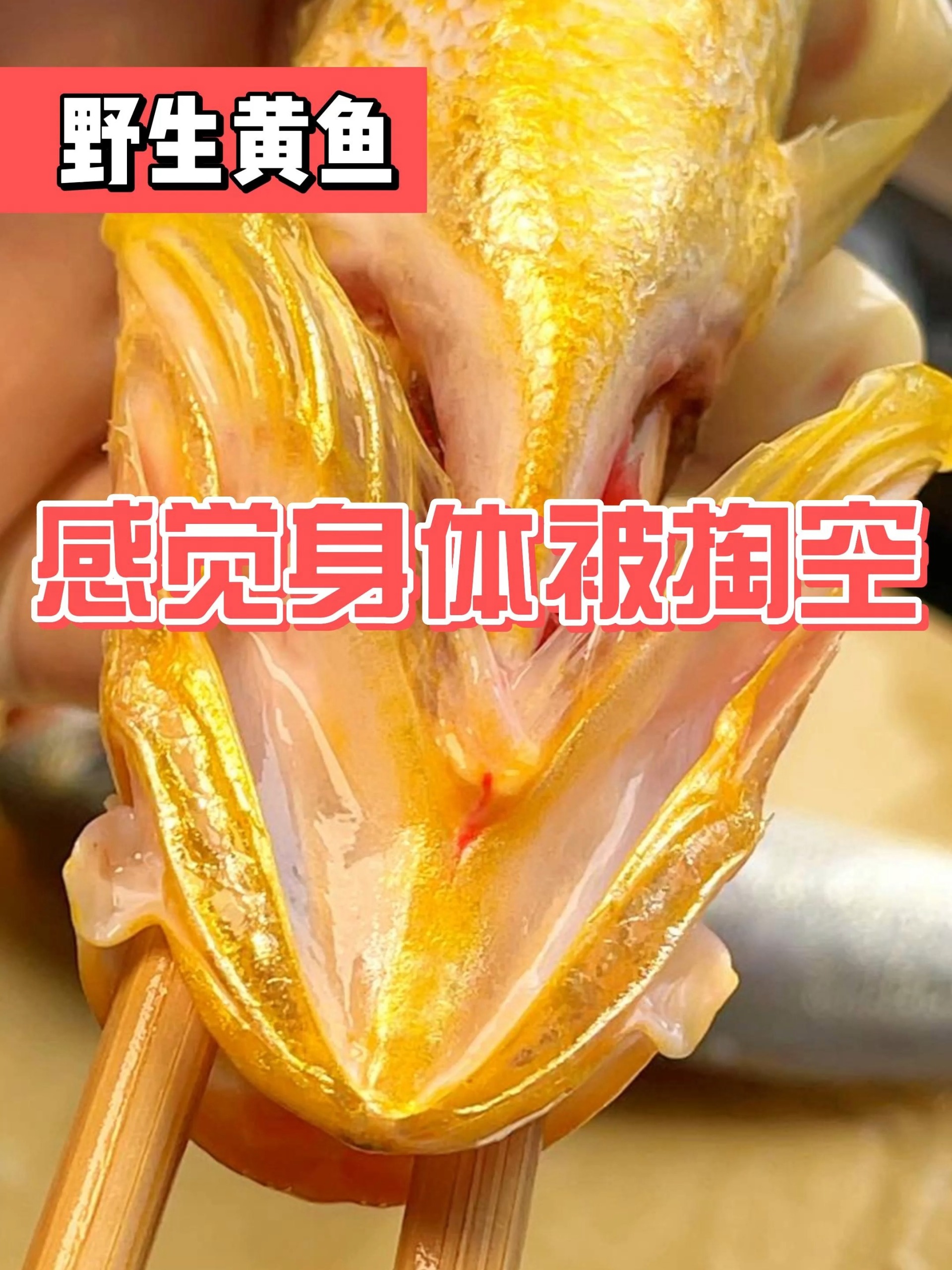 如何清理黄鱼内脏