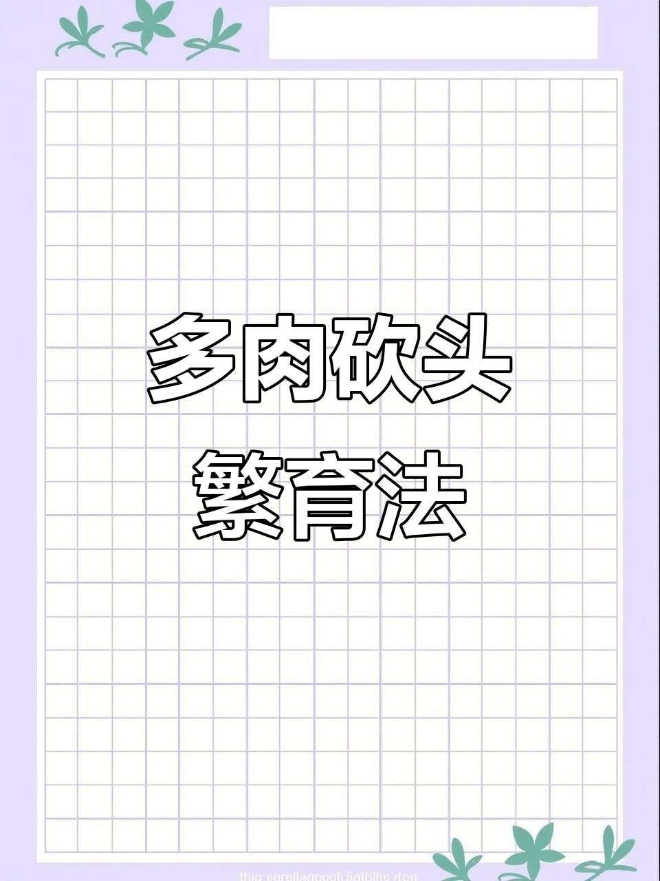 多肉砍头繁殖技巧,轻松学会奥普琳娜小苗培育