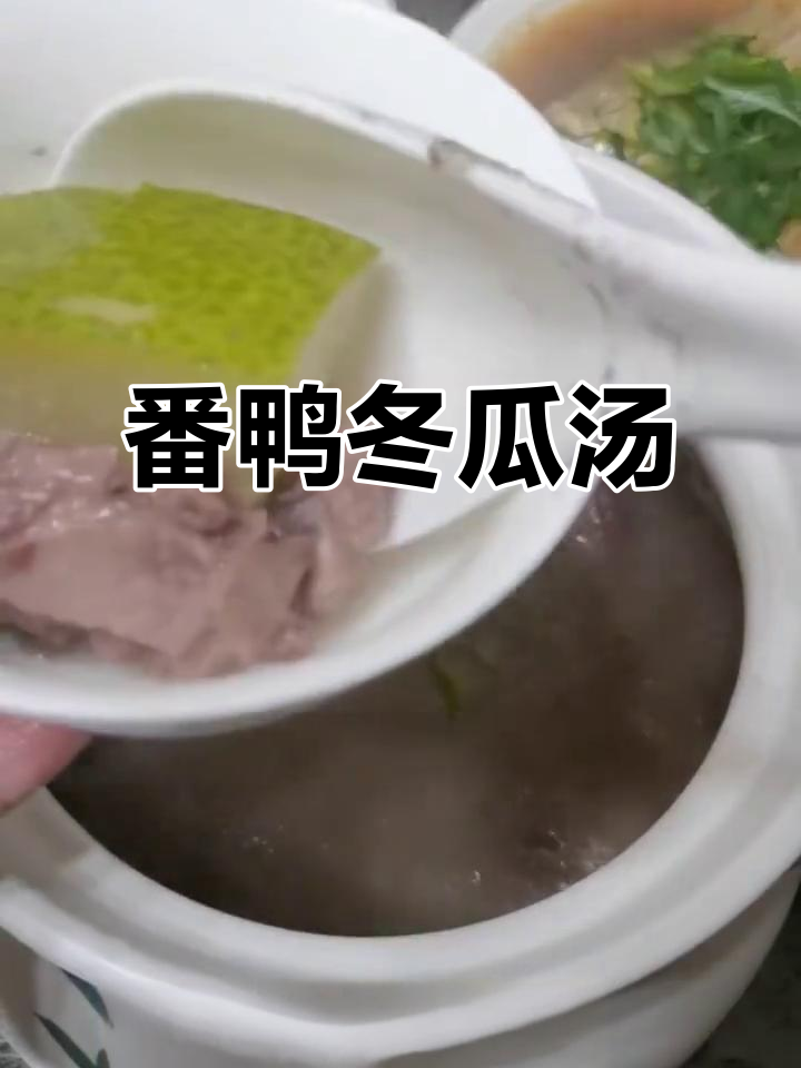 初夏必备!番鸭冬瓜汤,清爽又美味