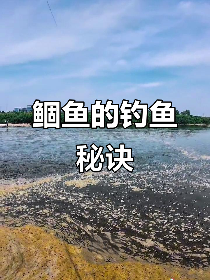 为什么鲴鱼这么难钓?揭秘钓鱼技巧与口感体验