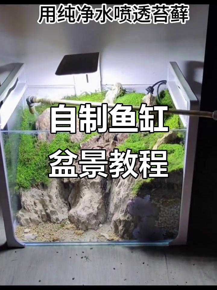 鱼缸微景观制作全攻略，打造苔藓与水景的完美结合