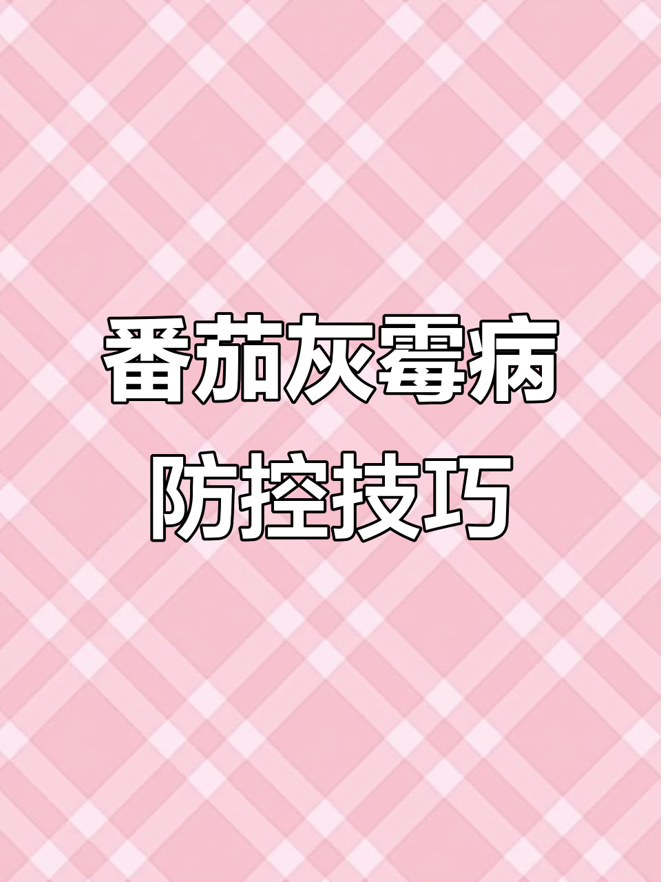 西红柿灰霉病防治全攻略,轻松搞定!